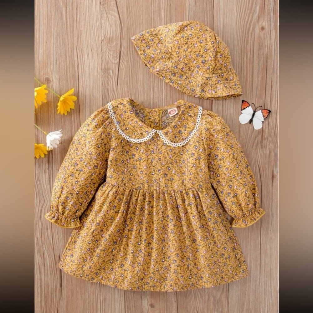 Baby Ditsy Floral Guipure Lace Trim Peter Pan Collar Flouce Sleeve Dress
